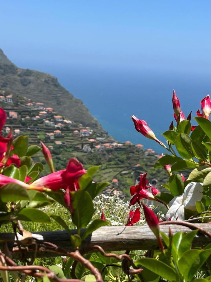 فيلا Tropical House ريبيرا برافا المظهر الخارجي الصورة